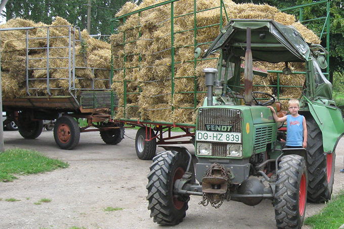 Lernbauernhof Schulte-Tigges / Solawi "Kümper Heide" – Bild 6