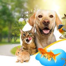 La Niche & Moi – Bild 3