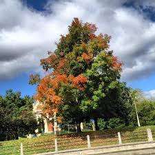 Arlington Park – Bild 6