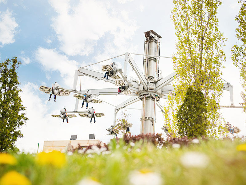 Drachenritt – Bild 5