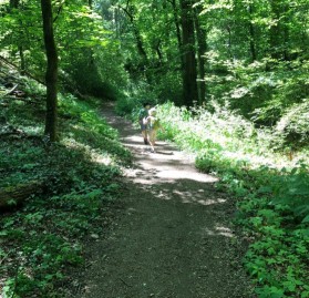 Park der Partnerstädte – Bild 1