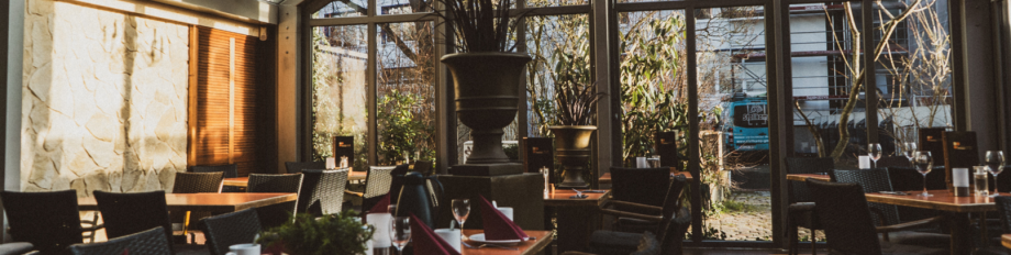 Blattlaus – Bild 2