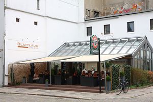 Blattlaus – Bild 3