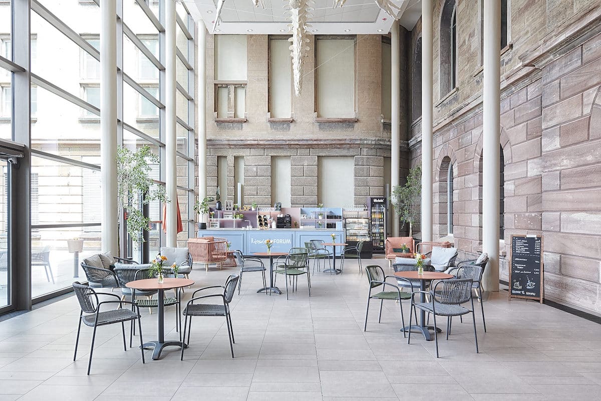 Liesels x Forum – Bild 2