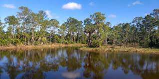 Dupuis Park – Bild 2