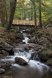 Dupuis Park – Bild 3