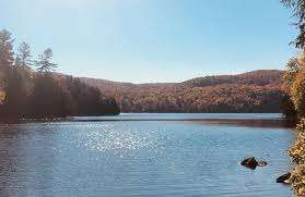 Dupuis Park – Bild 6