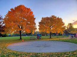 Mimico Memorial Park – Bild 2