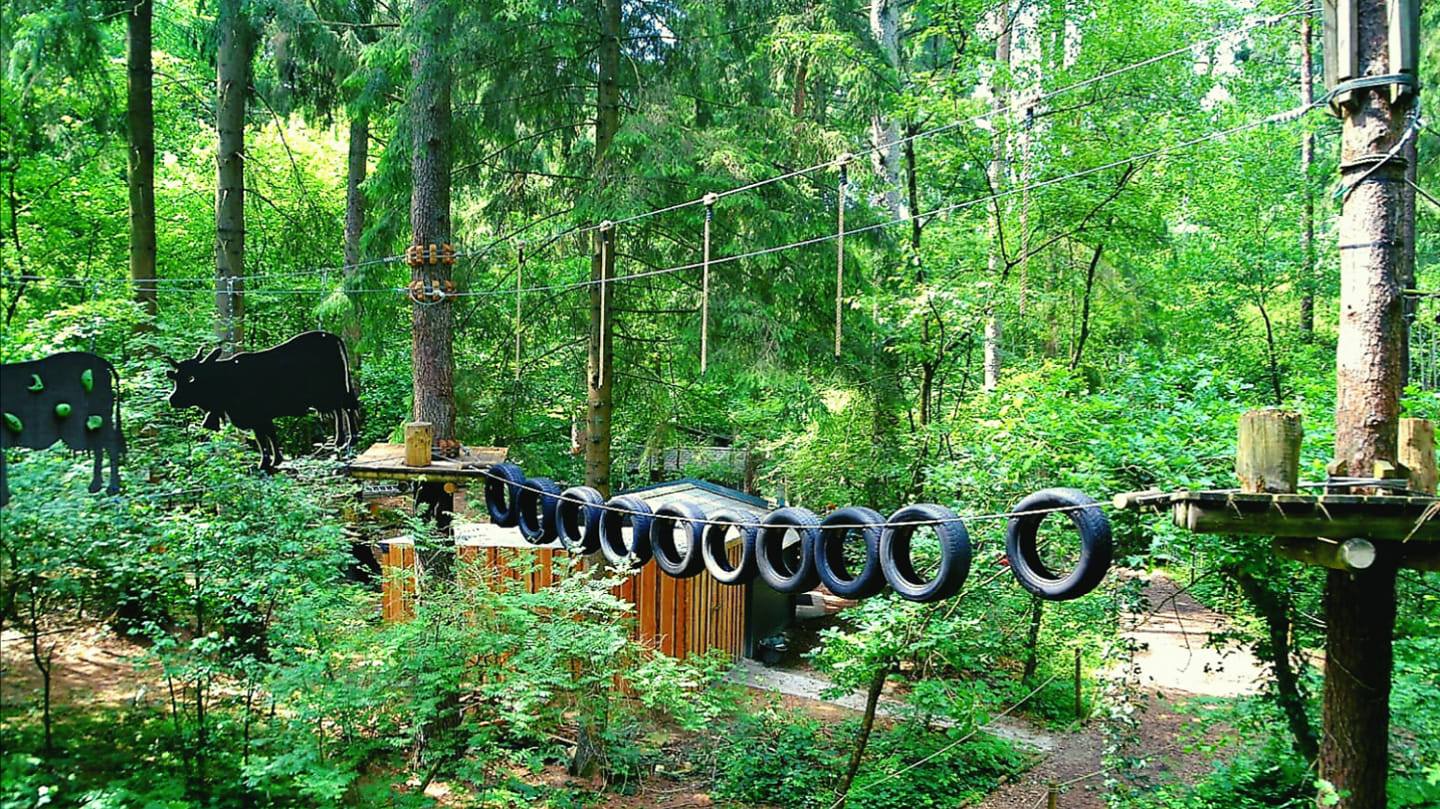 Kletterwald Aurich – Bild 6