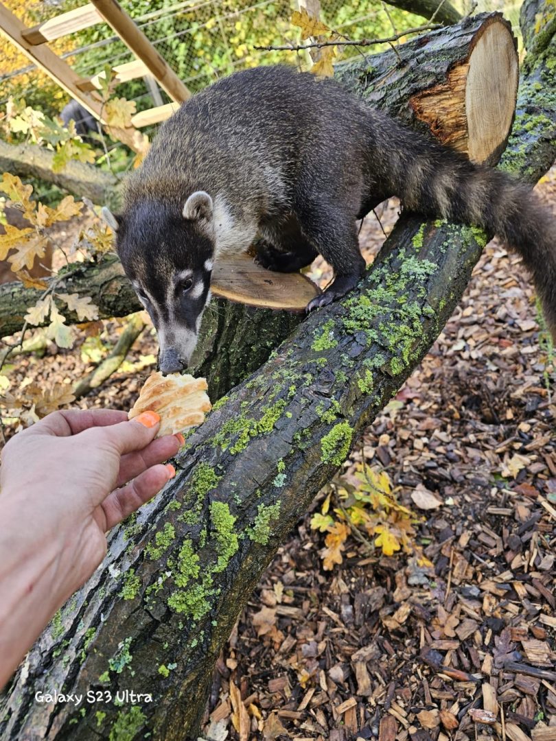 Tierpark Krüzen – Bild 4