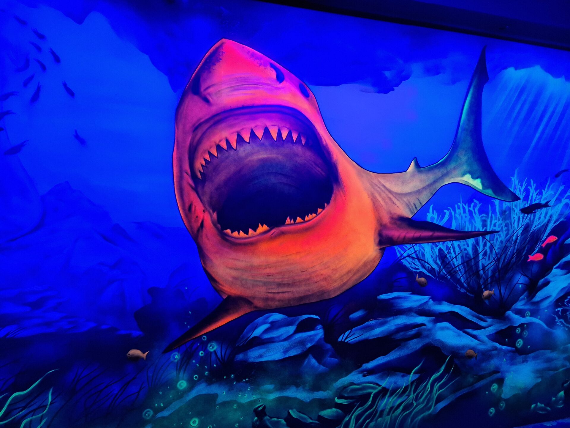 Neomingo GmbH – Bild 4