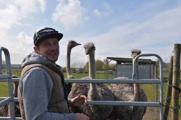 Farm Fahrdorf – Bild 3