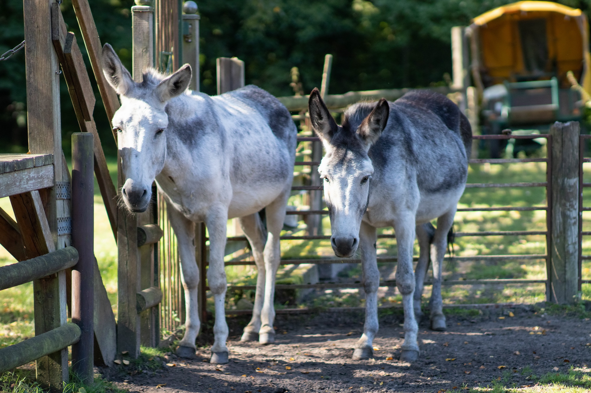 Abenteuerspielplatz Lobetalarbeit – Bild 3