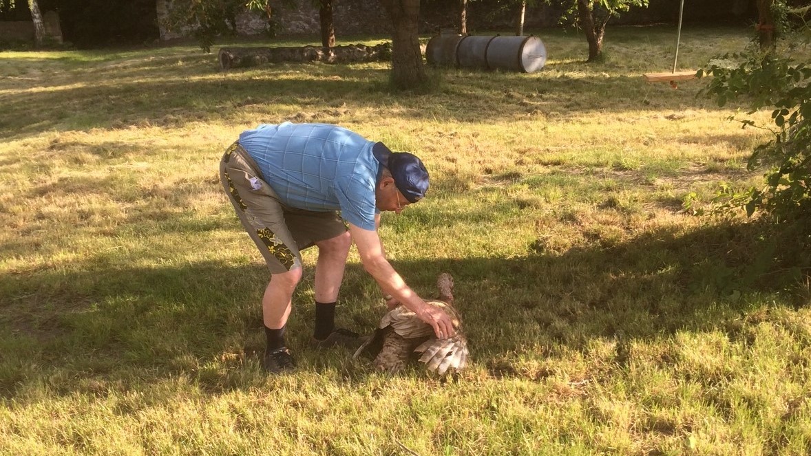 Kinderbauernhof Meißen – Bild 4