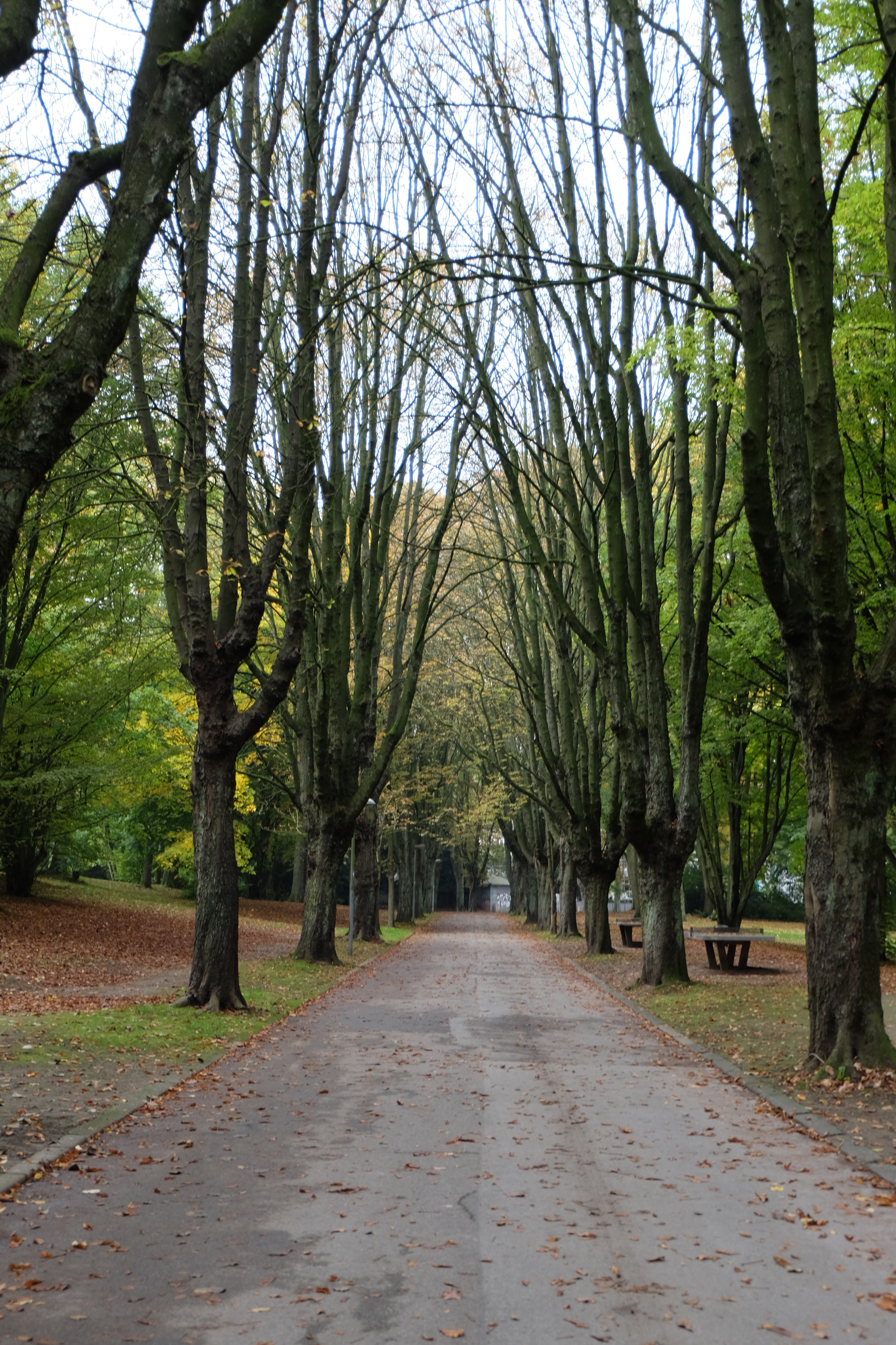 Stadtpark – Bild 2