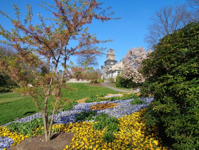 Stadtpark – Bild 5