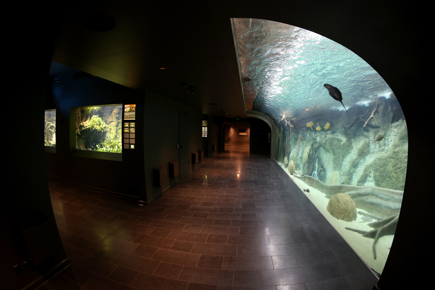 Aquarium Zoo Leipzig – Bild 2