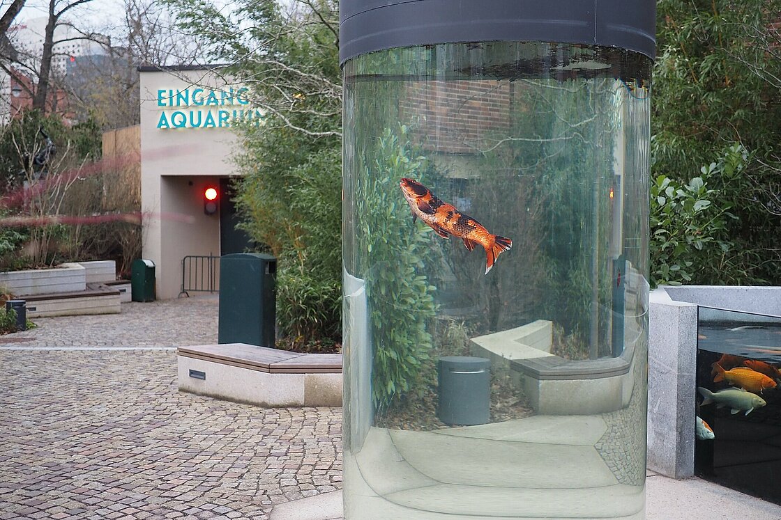 Aquarium Zoo Leipzig – Bild 3