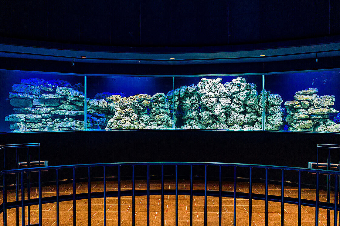 Aquarium Zoo Leipzig – Bild 5