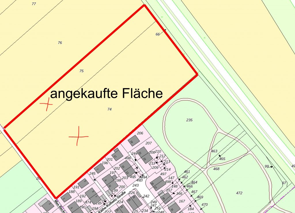 Storchenwiese – Bild 3