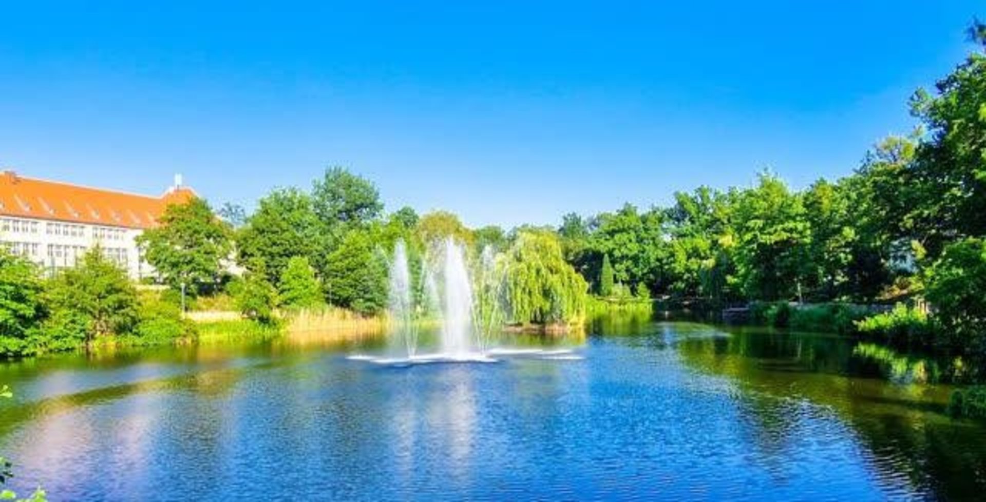 Schwanenteich Sportplatz – Bild 1