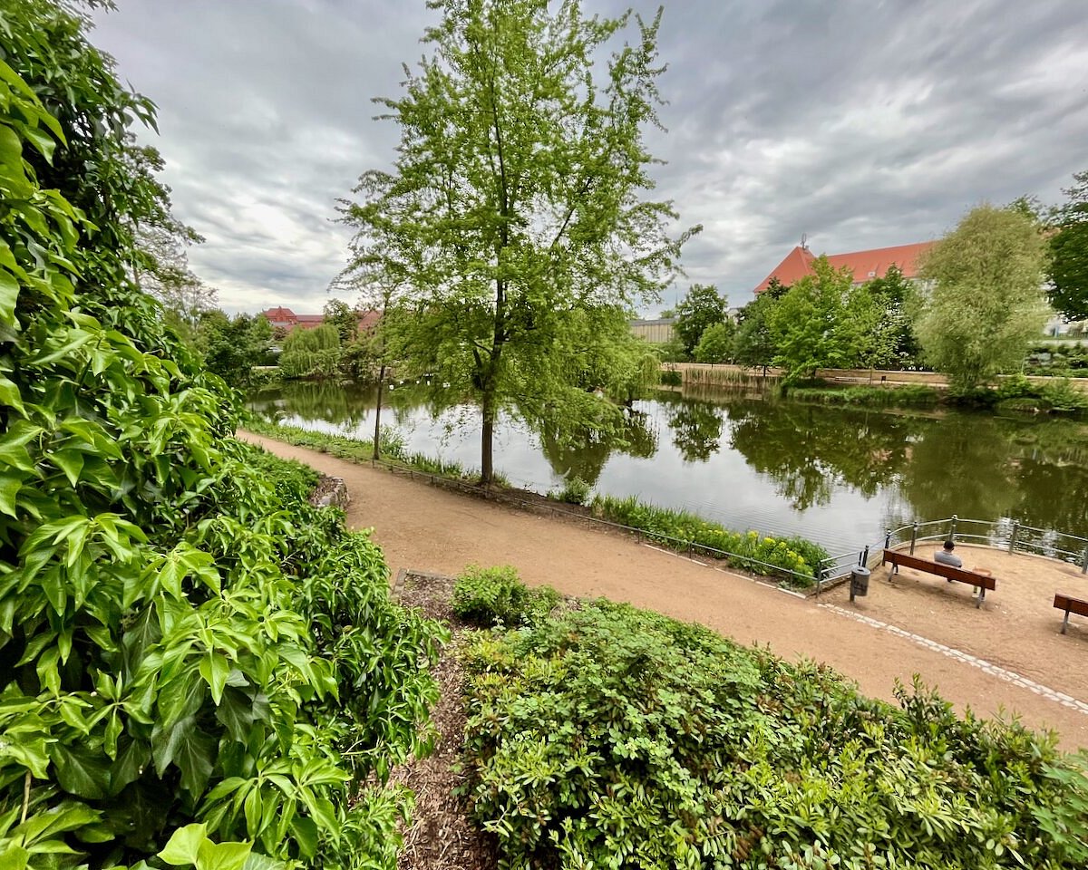 Schwanenteich Sportplatz – Bild 2