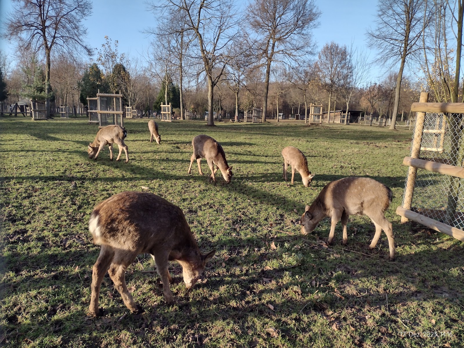 Wildfreigehege Bend – Bild 3