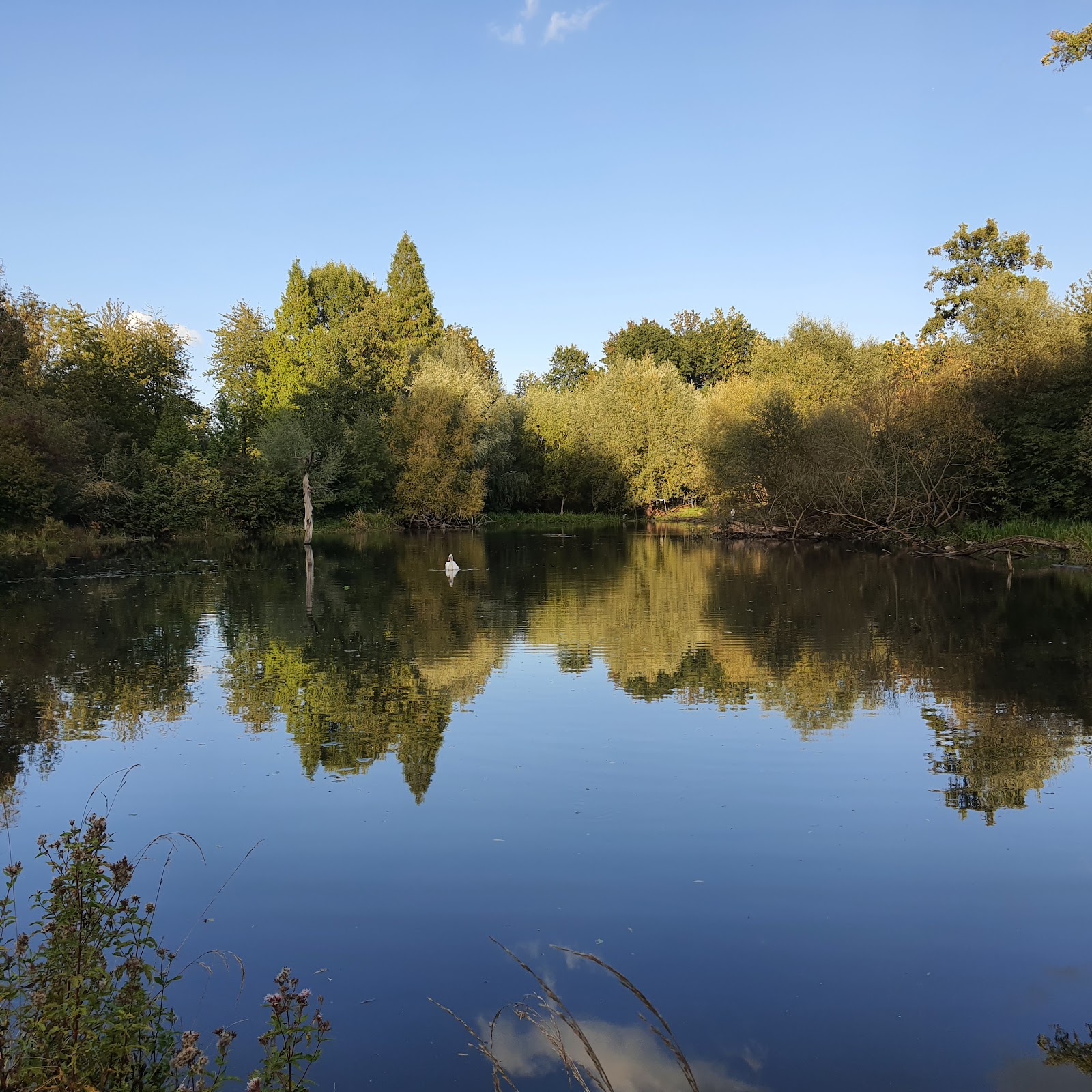 Wildfreigehege Bend – Bild 6