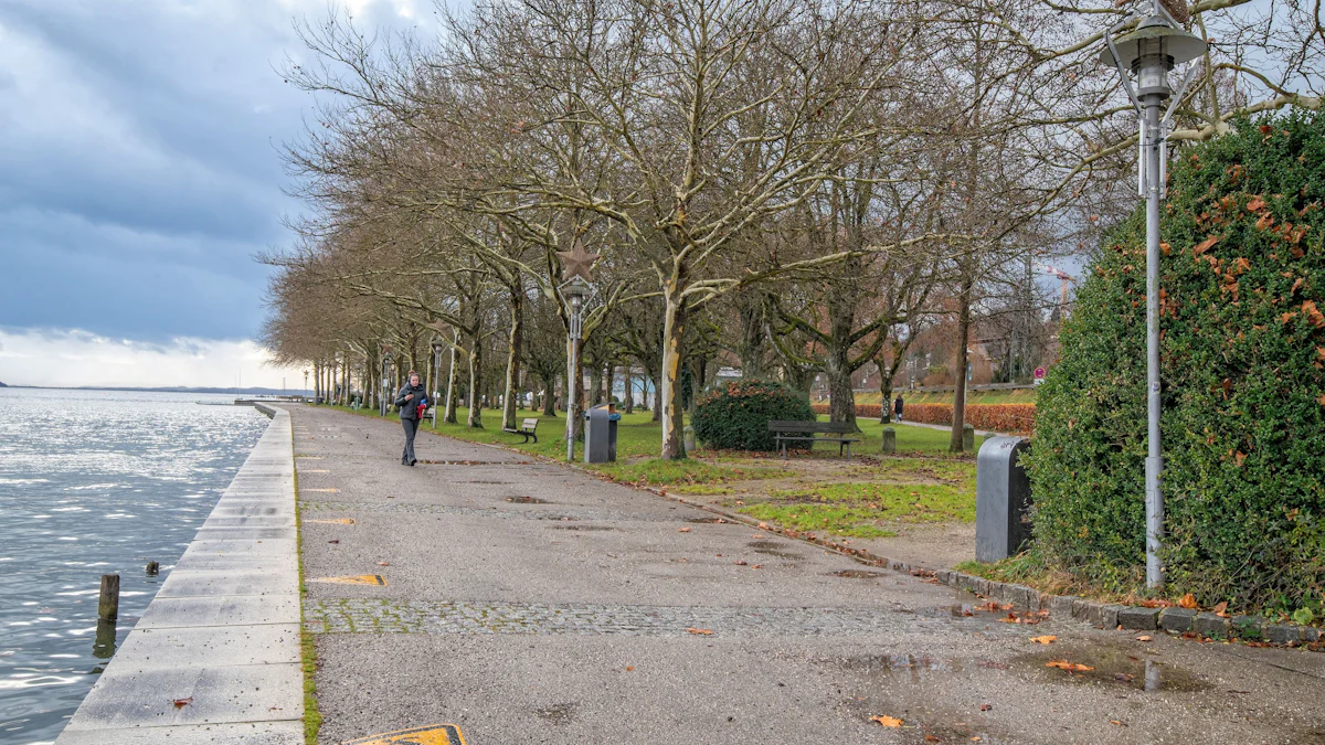 Südliche Seepromenade – Bild 3