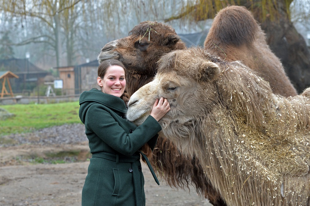Tiergarten Delitzsch – Bild 5