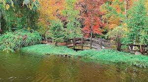 Odell Park Playground – Bild 4