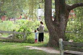 Odell Park Playground – Bild 5