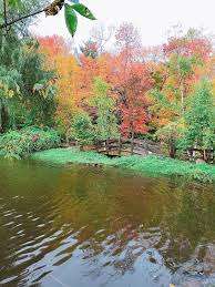 Odell Park Playground – Bild 6