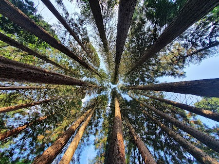 Klimapark-Rietberg – Bild 3