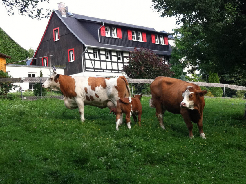 Ferien- und Biohof Tröger – Bild 3