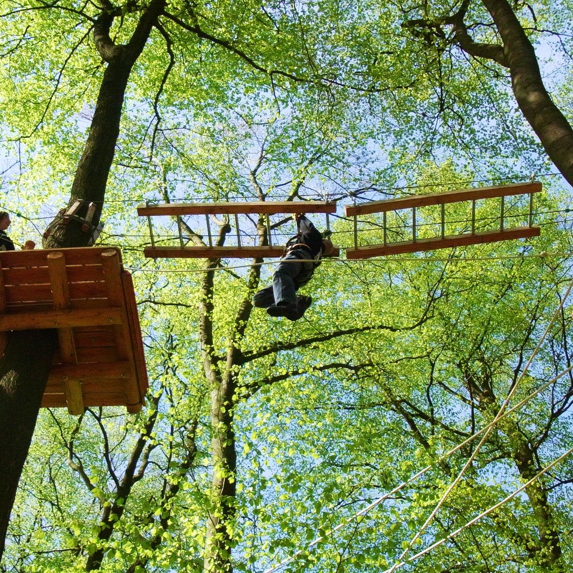 Kletterwald Lüneburg-Scharnebeck – Bild 2