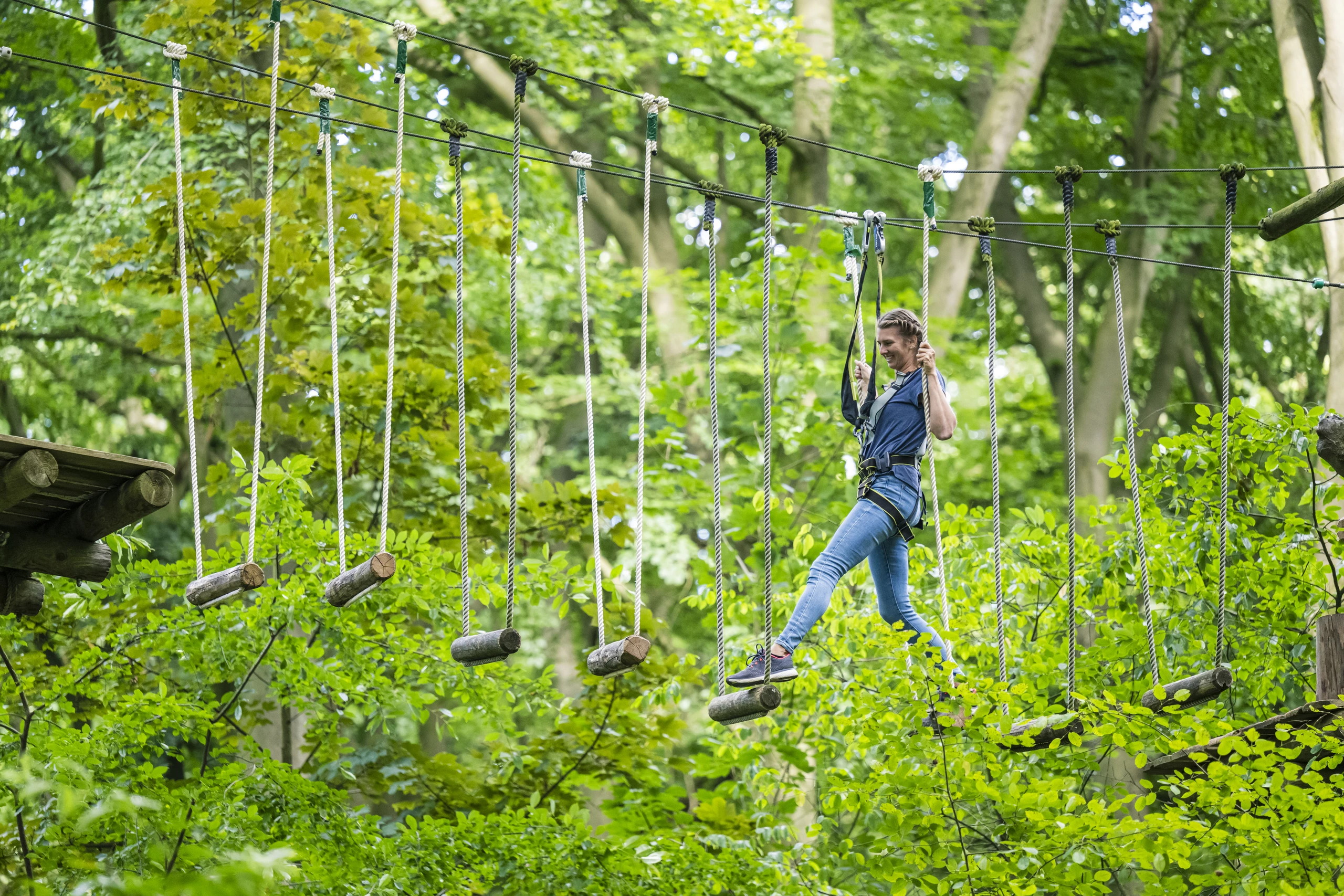 Kletterwald Lüneburg-Scharnebeck – Bild 4