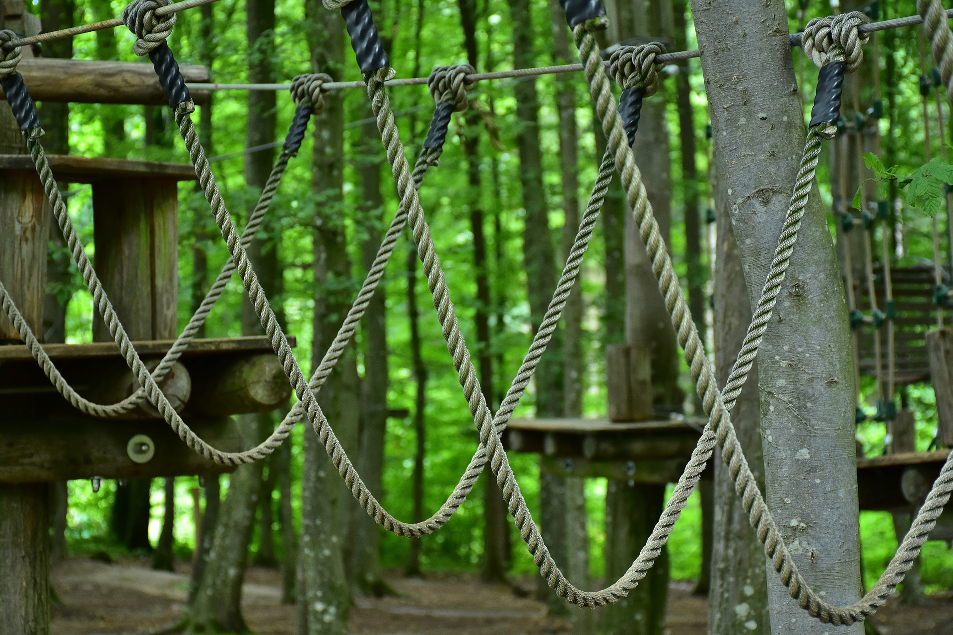 Kletterwald Lüneburg-Scharnebeck – Bild 6