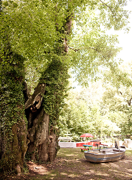 Minigolf und Kocherflotte Schwäbisch Hall – Bild 5