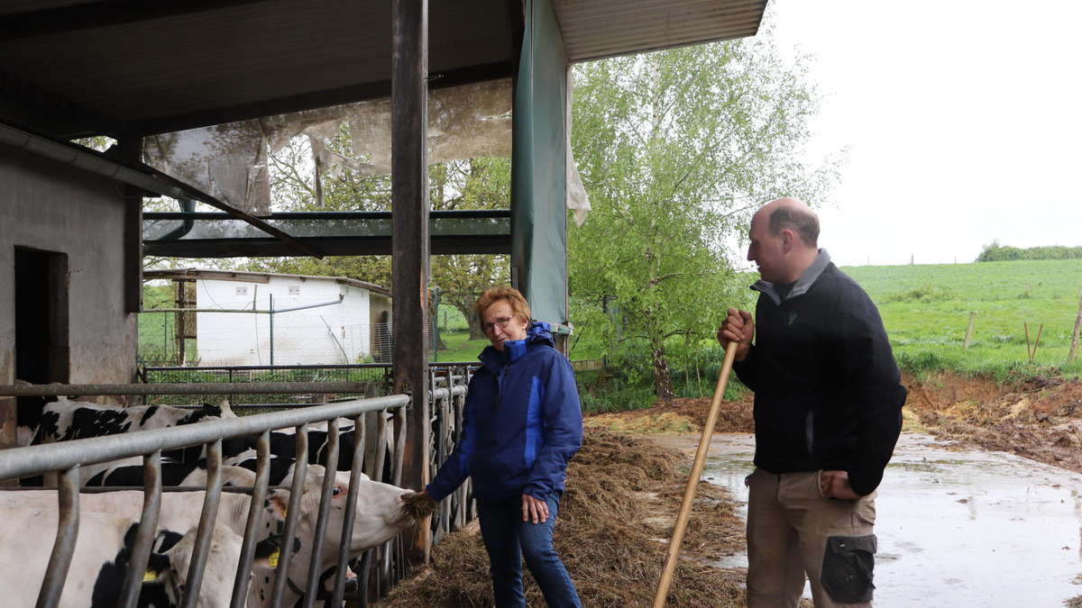 Milchhof am Berg – Bild 4