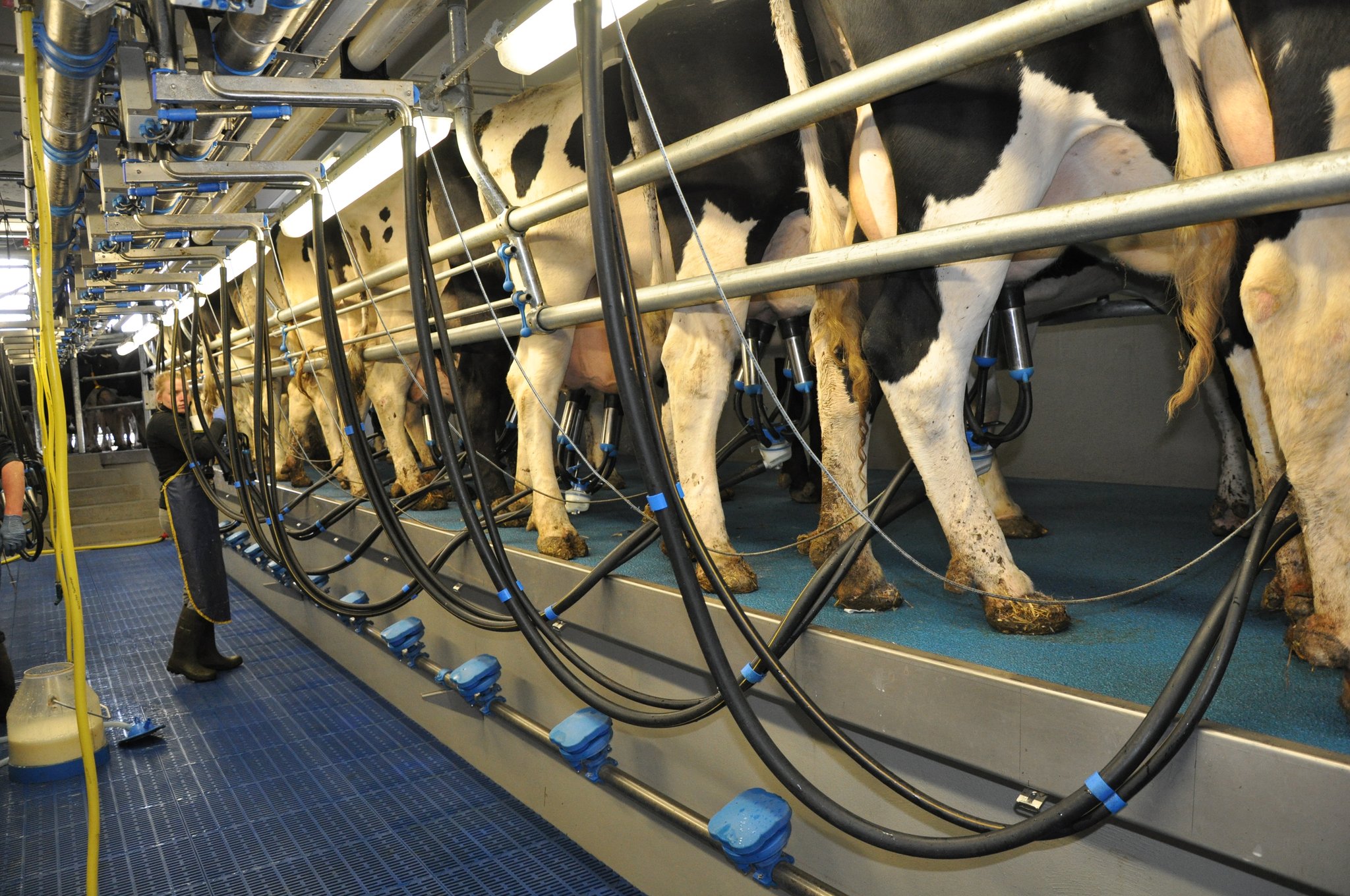 Bauernhof Freyer – Bild 3