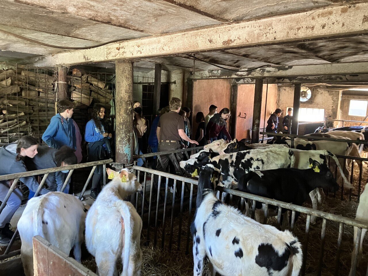 Bauernhof Freyer – Bild 4