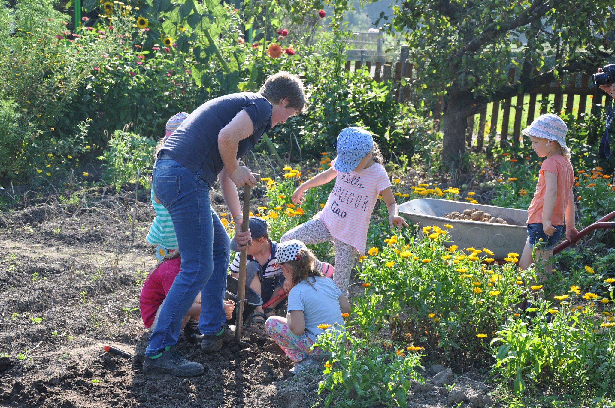 Bauernhof Freyer – Bild 6