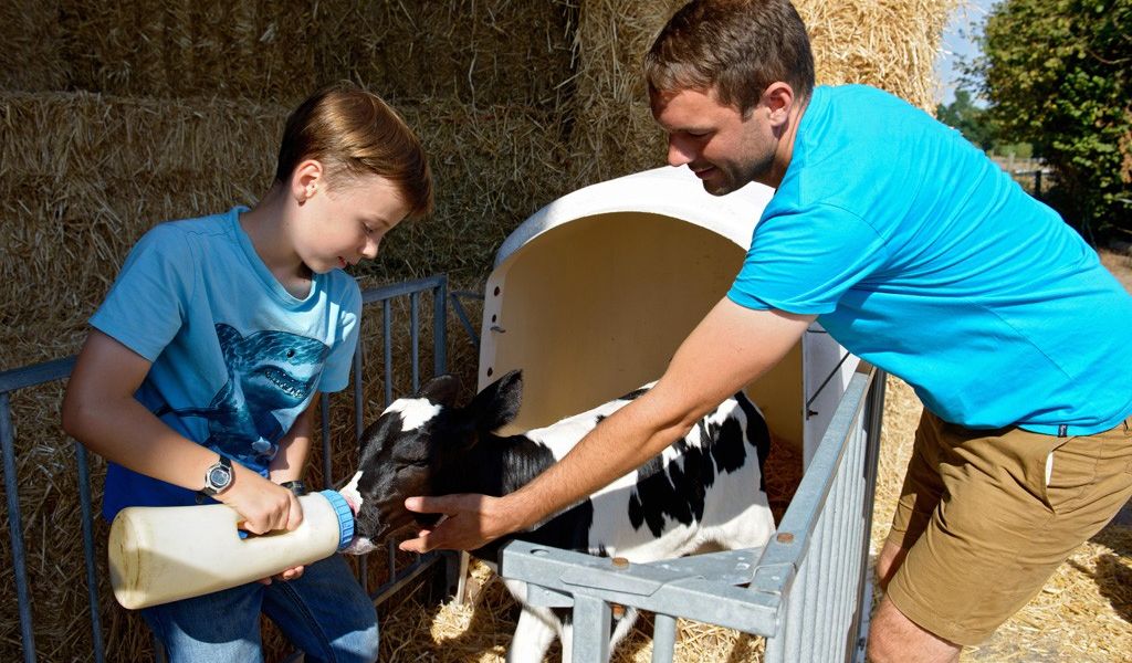 Margarethen-Hof – Bild 6