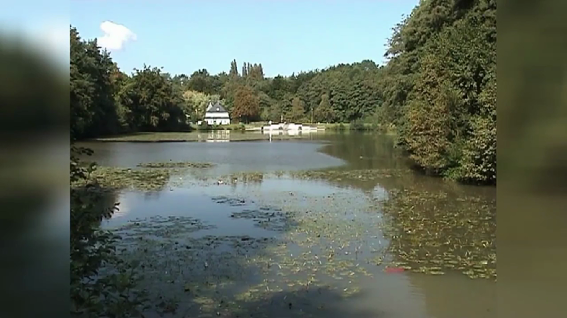 Quelle des Mettmanner Bachs – Bild 3