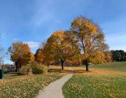 Fallingbrook Park – Bild 4