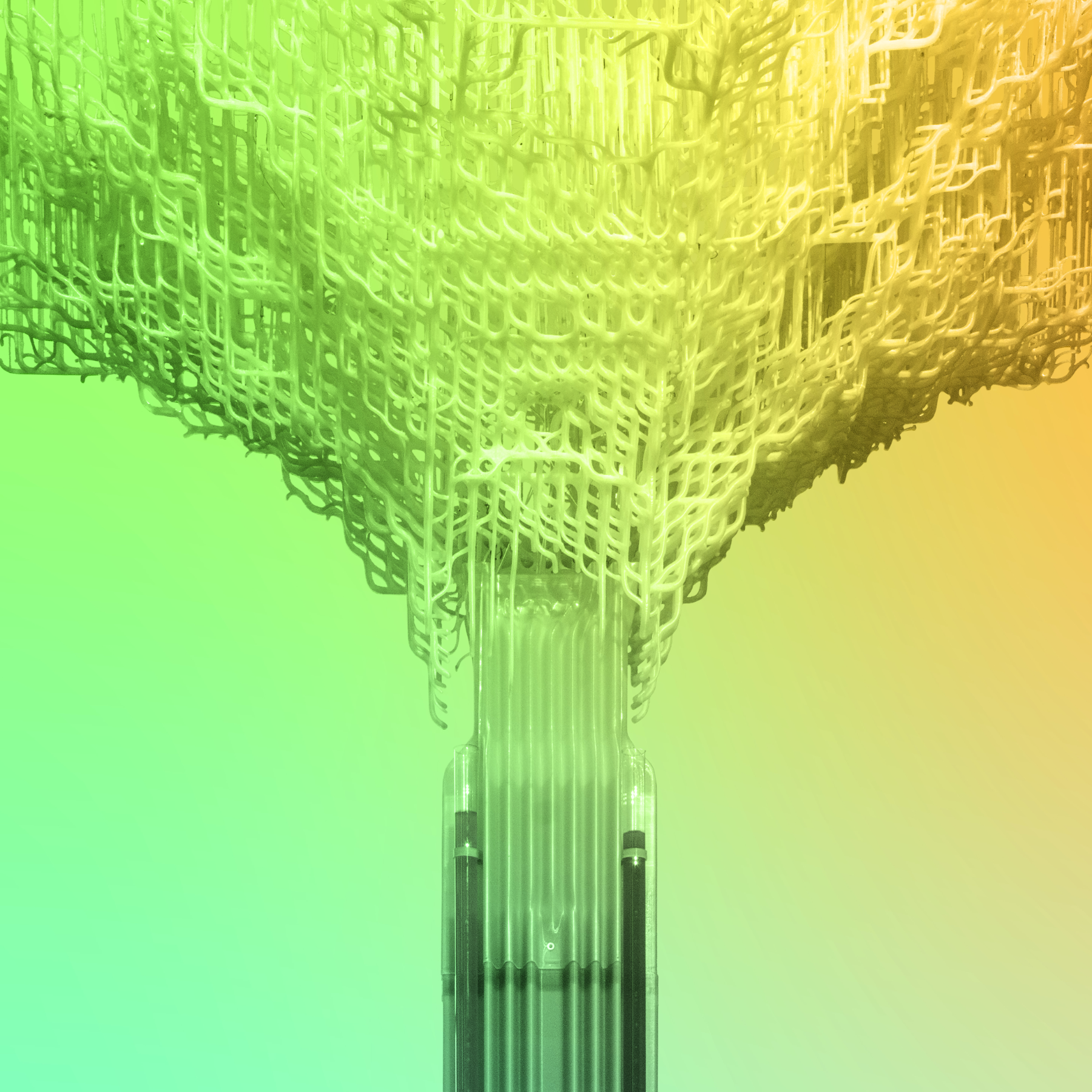 Bundeskunsthalle – Bild 6