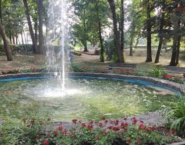 Grüne Lunge – Bild 2