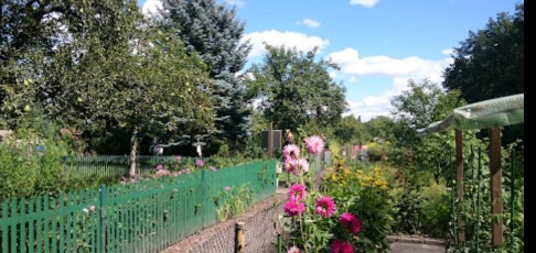 Grüne Lunge – Bild 4