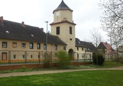 Grüne Lunge – Bild 5